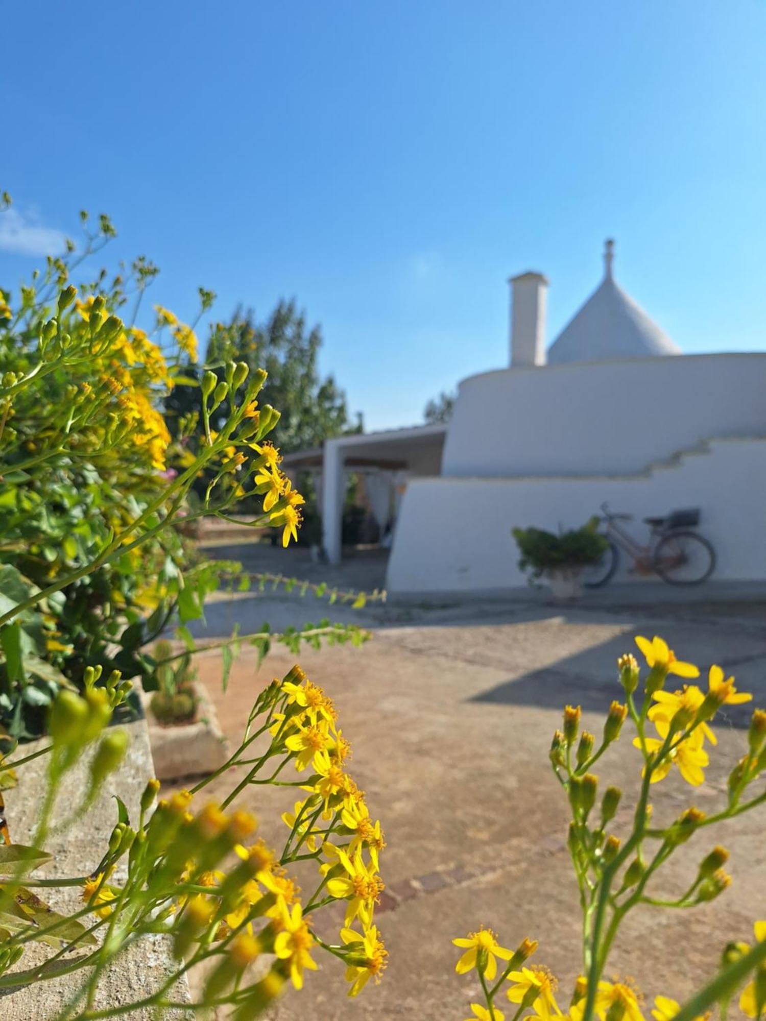 Holiday Home Trullo Antico Ostuni Kültér fotó